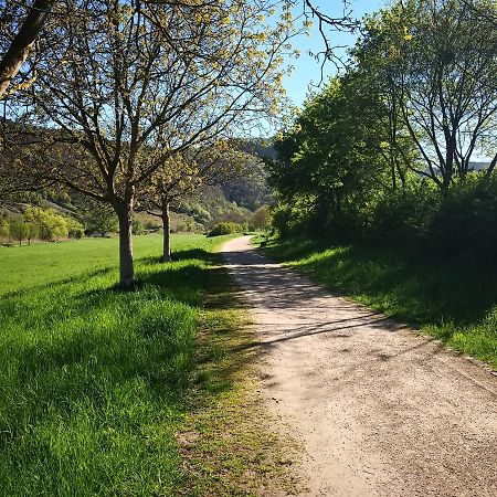 Ferienhaus Malefi 1 Am Guelser Moselbogen Koblenz  Exteriör bild